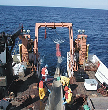 Midwater trawl coming on board the fisheries research vessel Delaware II Midwater trawl coming on board the fisheries research vessel Delaware II.