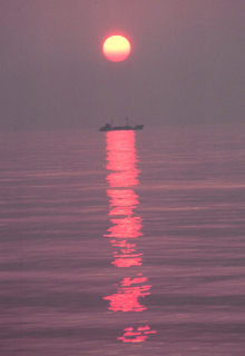 A cargo vessel caught in the rays of the setting sun A cargo vessel caught in the rays of the setting sun