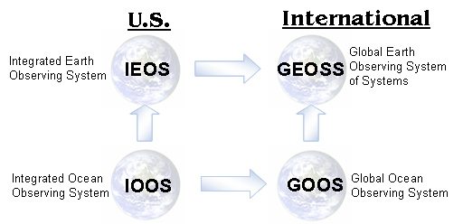 Organization Chart