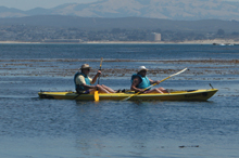 kayakers kayakers