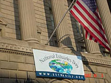 Flag and Banner