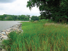 Chesapeake Bay Virginia NERR