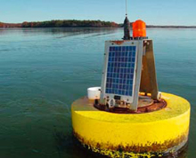 Buoy