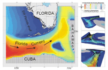 This image depicts a basic model grid/domain for the South Florida Hybrid Coordinate System Model that illustrates the movement of bottom water into the model. This image depicts a basic model grid/domain for the South Florida Hybrid Coordinate System Model that illustrates the movement of bottom water into the model.
