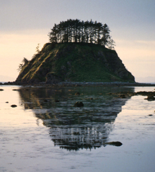 Olympic Coast National Marine Sanctuary Image