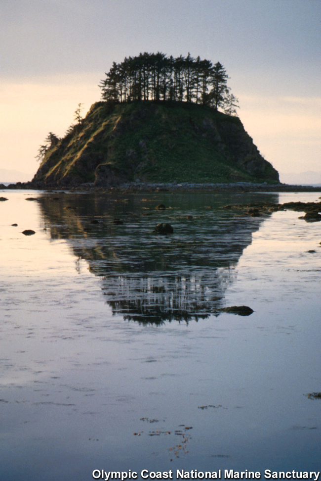 Olympic Coast National Marine Sanctuary image