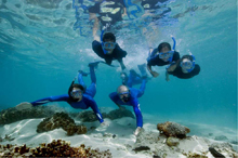 Underwater Treasures Team Underwater Treasures Team