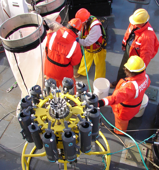 Fairweather: Fisheries-Oceanography Coordinated Investigation cruise.