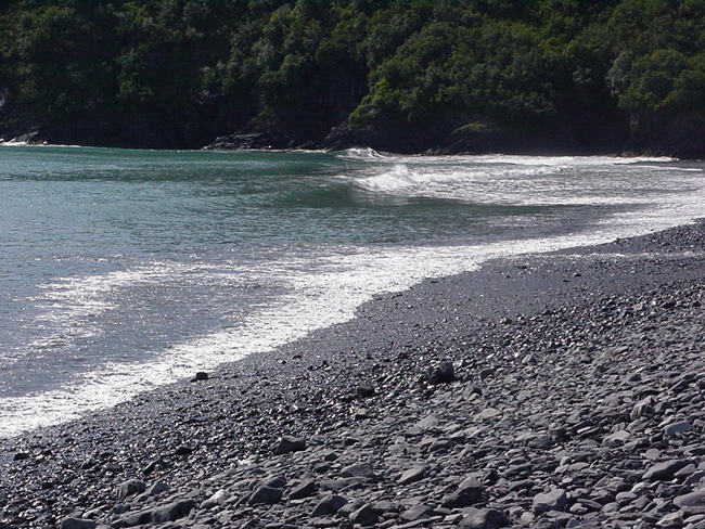 daily rise and fall of tides impacts all coastal areas